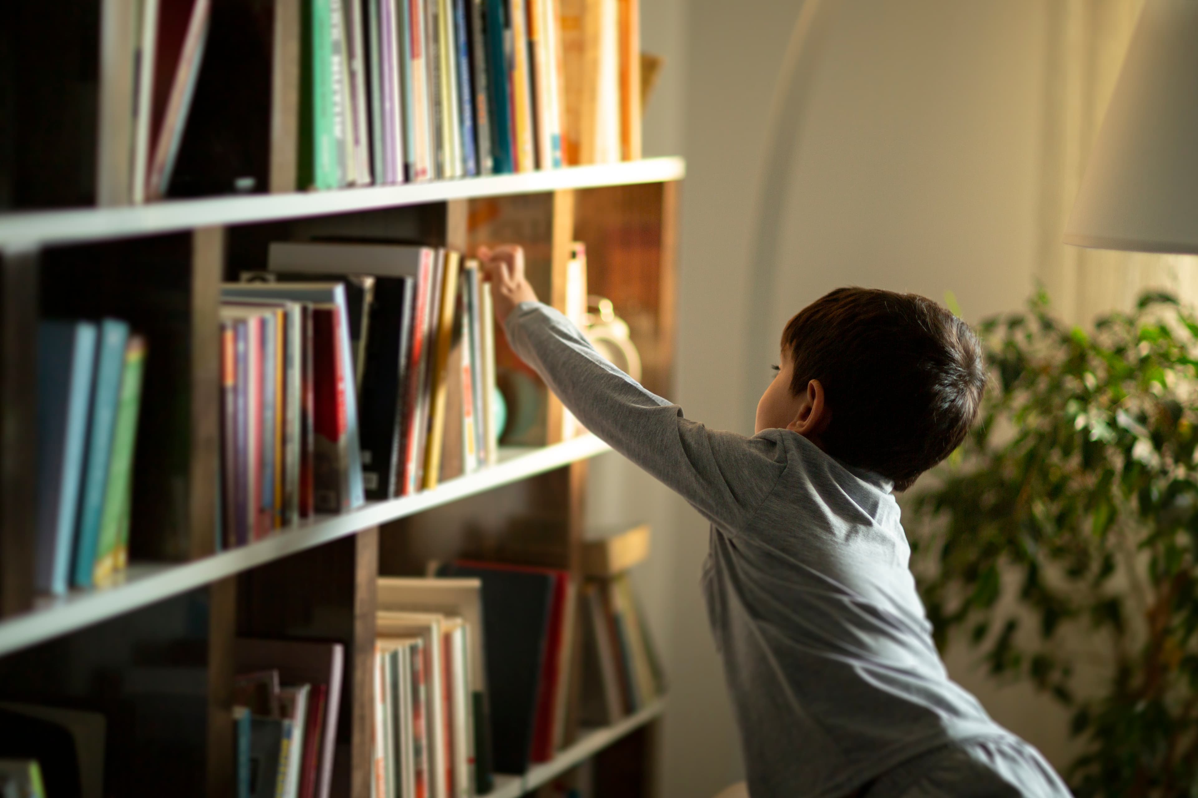 Personalisiertes Kinderbuch vs. Wimmelbuch – was passt zu deinem Kind?